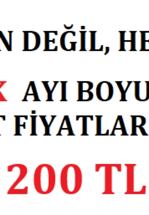 ARALIK AYI KAMPANYA !!