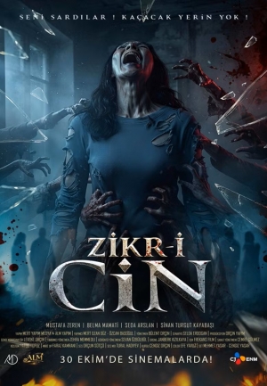 Zikr-i Cin